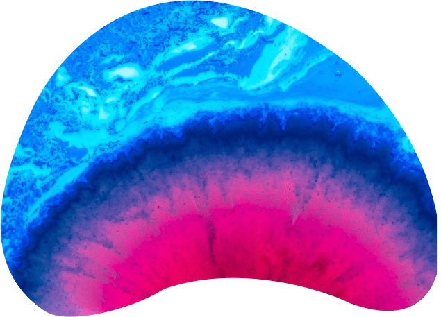 Custom AI Development for the Pharmaceutical Industry img